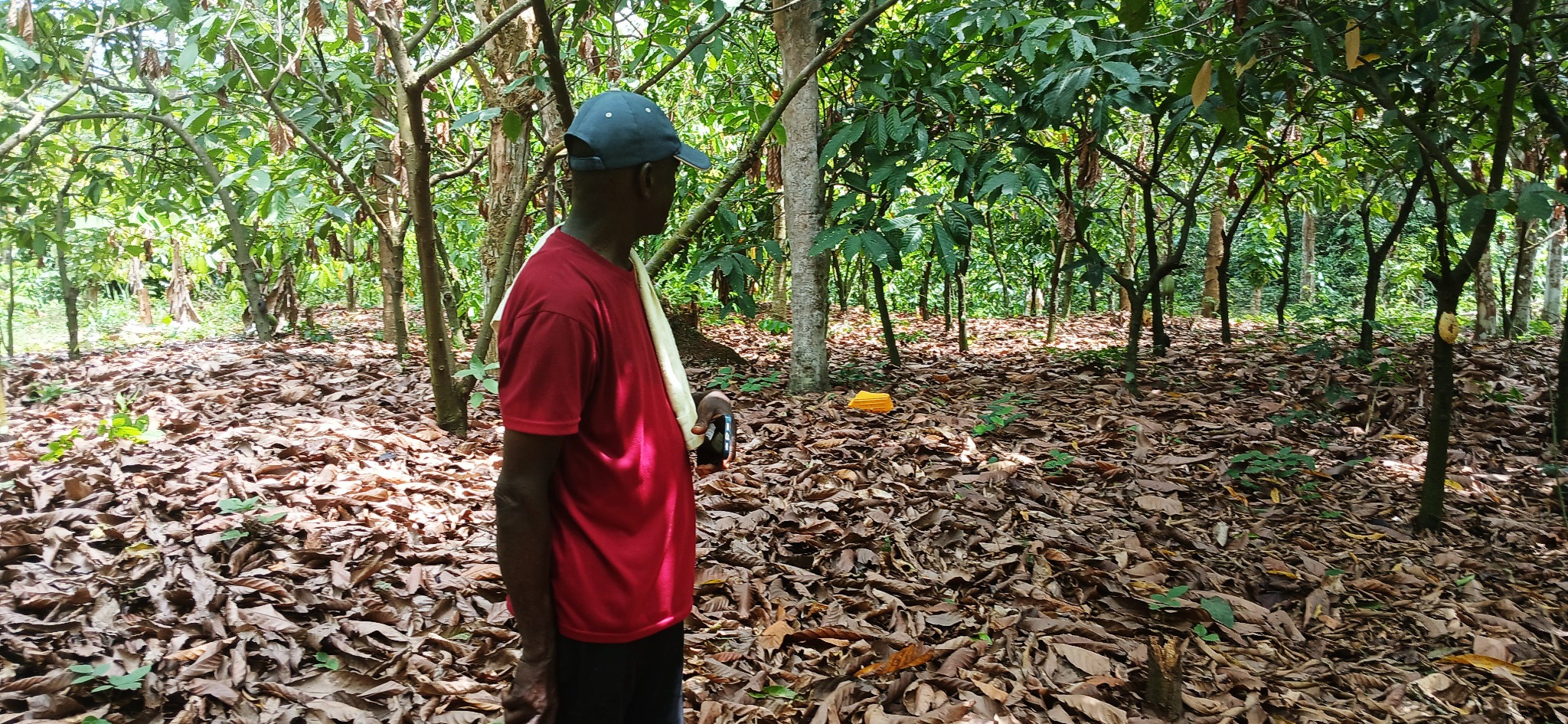RETS — Rural Economic Transition System — featured image
