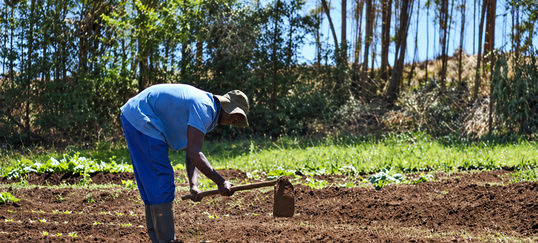 From Subsistence to Resilient Agrifood Systems — featured image