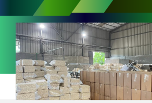 Read more about the article Sourcing Cashew in West Africa: Why Buyers Trust GetCare Foundation