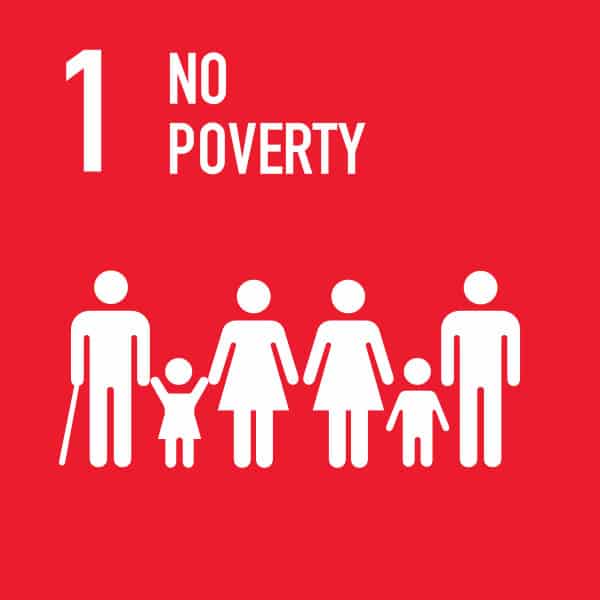Sdg 1 1