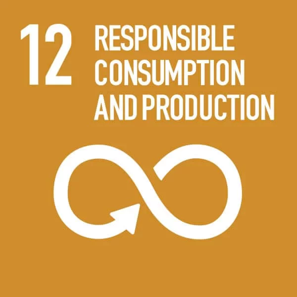 Sdg 12