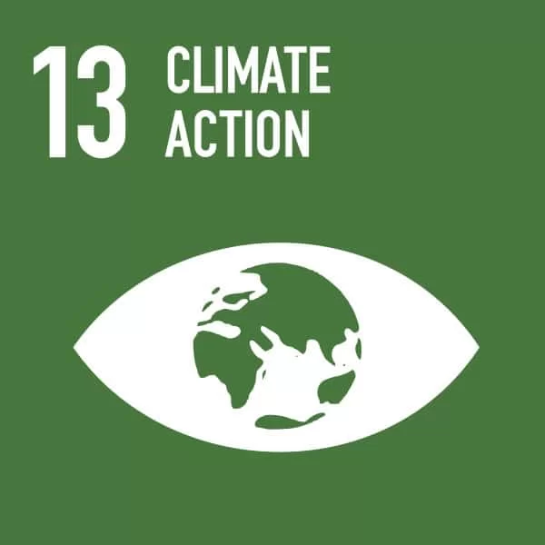 Sdg 13