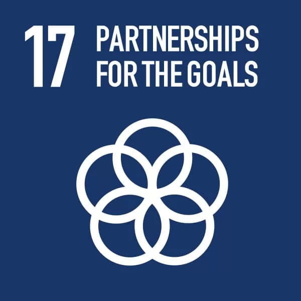 Sdg 17
