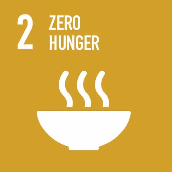 Sdg 2