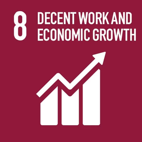 Sdg 8