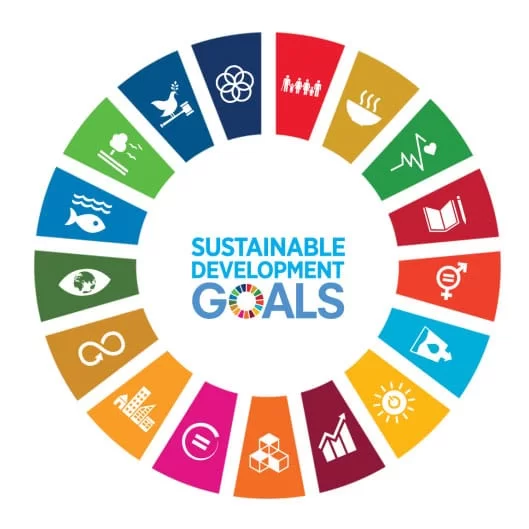 Sdg Wheel