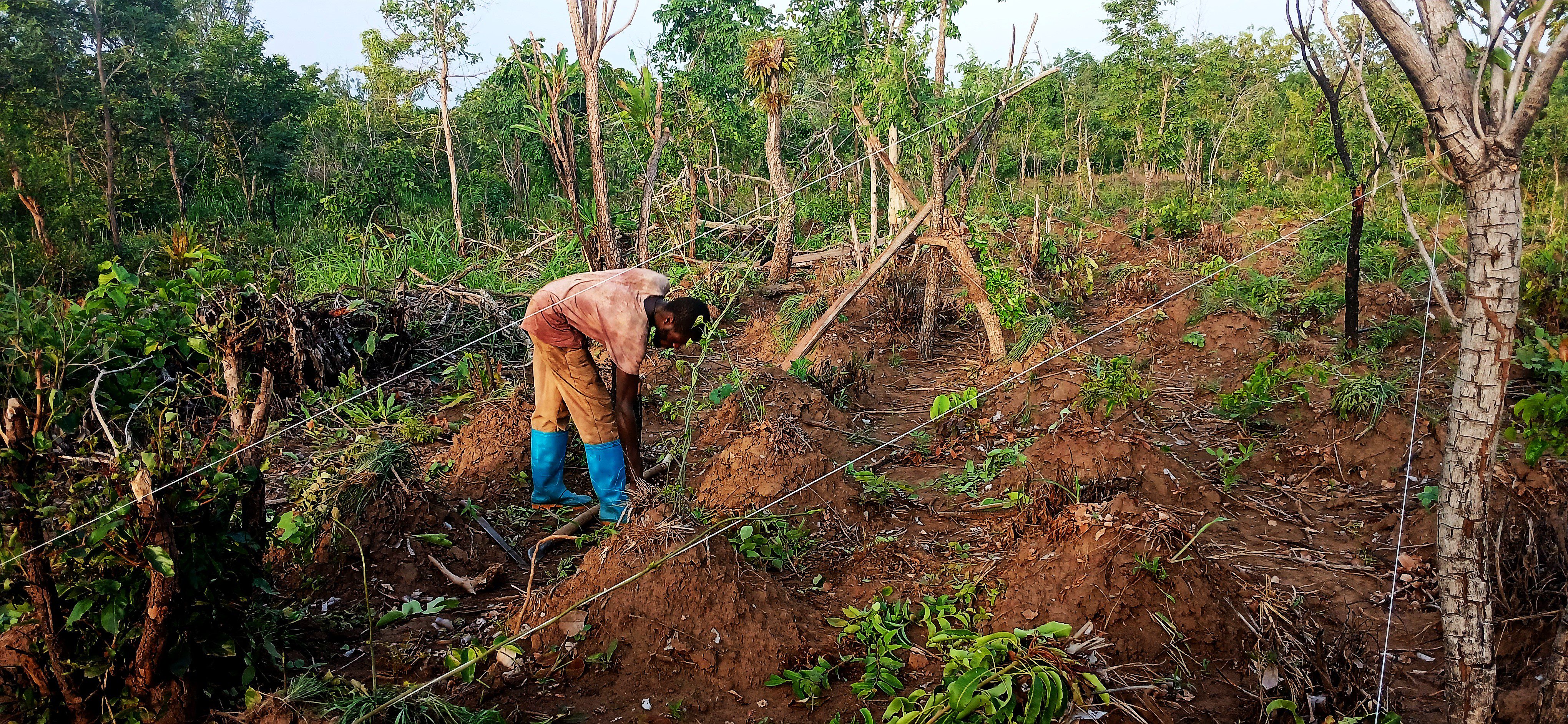 You are currently viewing Lifting Millions of Farmers Out of Poverty
