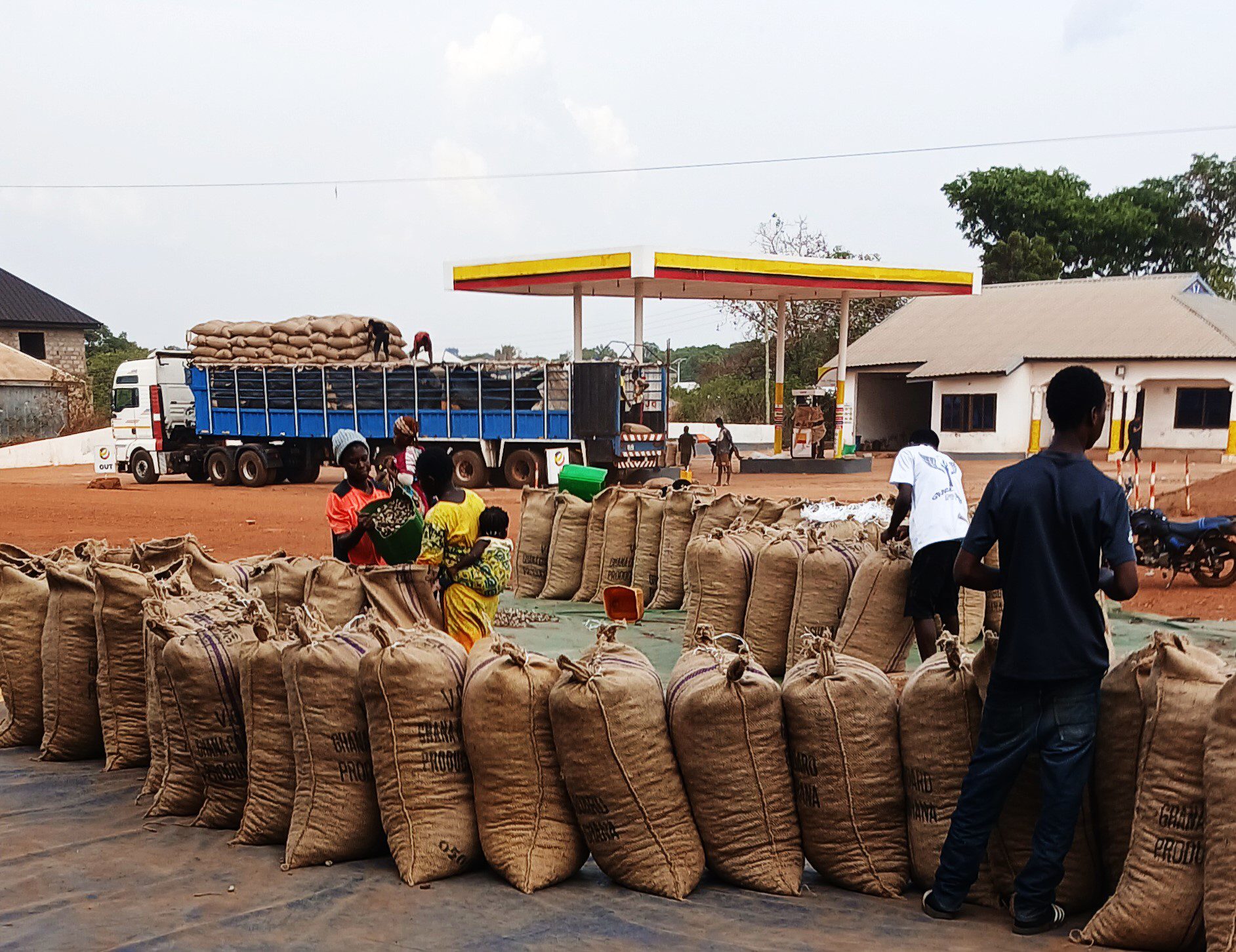 Read more about the article Rural Enterprise in Action: Women Farmers Building Local Value Chains