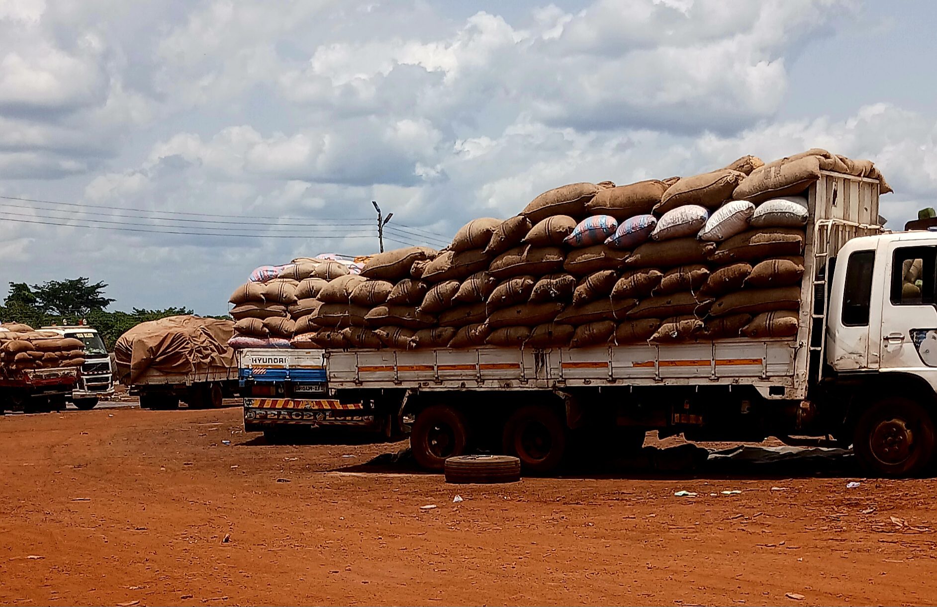 Read more about the article Why Rural Transport Systems Matter for Farmers