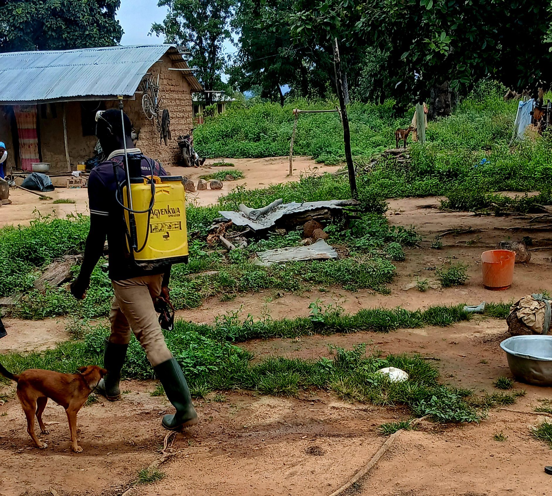 Read more about the article When Simple Tools Drive Real Change: Field Insights from Bono Region, Ghana
