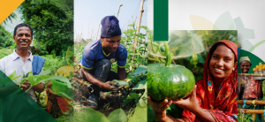 Read more about the article Supporting Farmers to Grow Better Food, Improve Nutrition and Strengthen Livelihoods